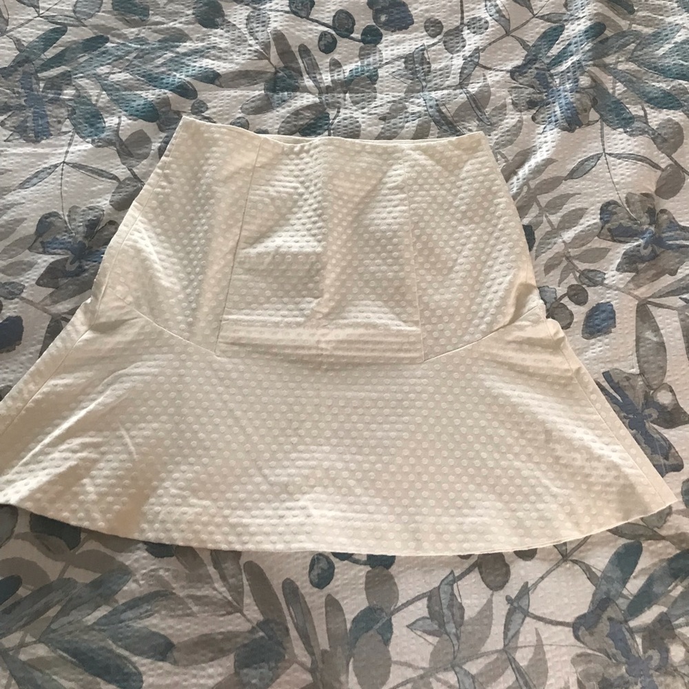 Ann Taylor skirt